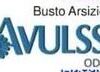 AVULSS LOGO